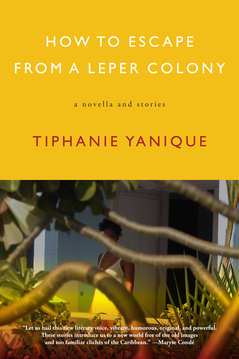 Cover image for book How to Escape from a Leper Colony