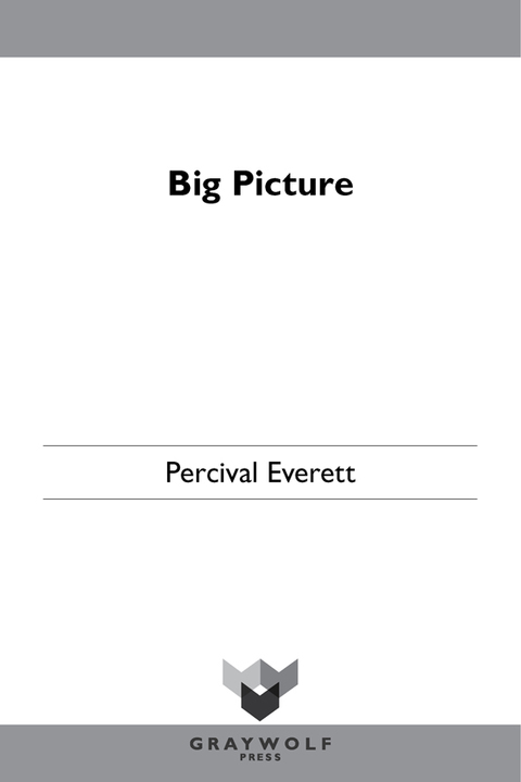 Cover image for book Big Picture