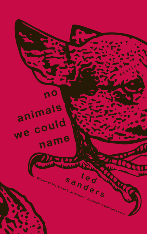Cover image for book No Animals We Could Name
