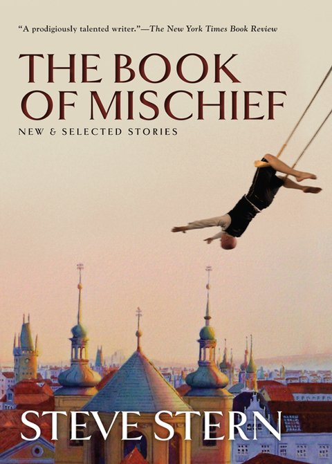 Cover image for book The Book of Mischief