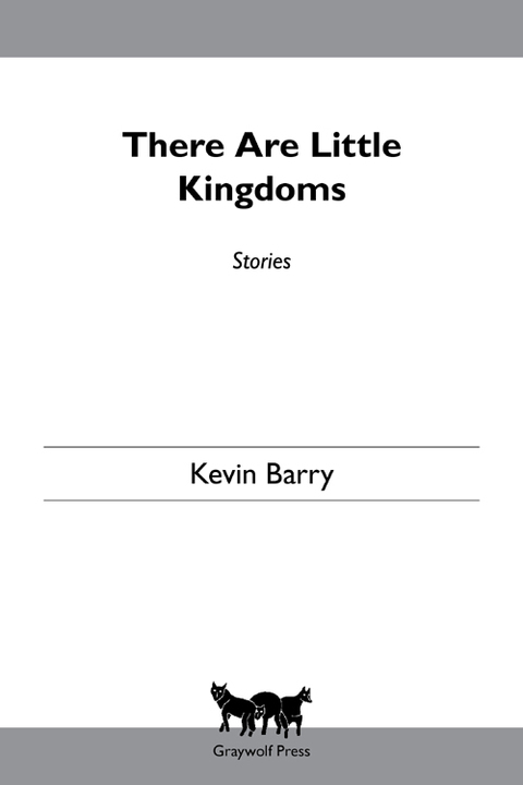 Cover image for book There Are Little Kingdoms