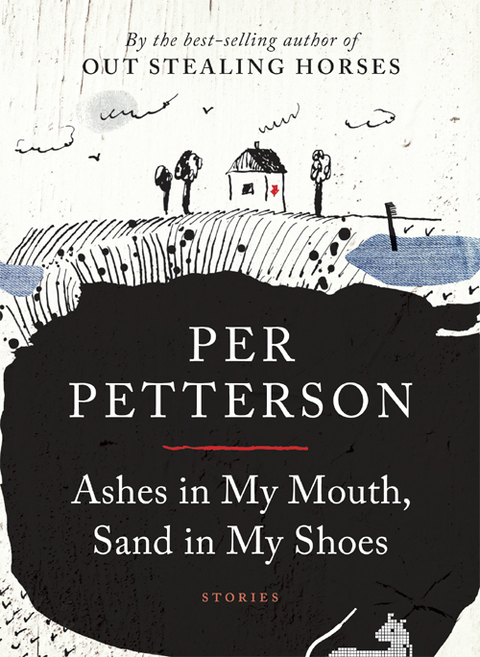Cover image for book Ashes in My Mouth, Sand in My Shoes