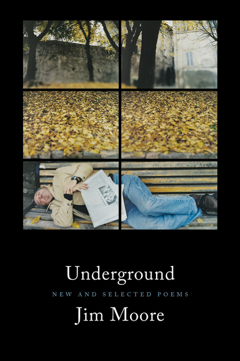 Cover image for book Underground