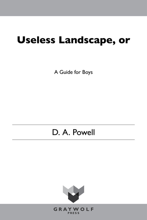 Cover image for book Useless Landscape, or A Guide for Boys