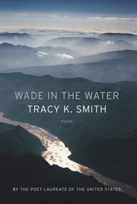 Cover image for book Wade in the Water