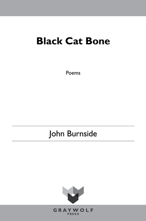 Cover image for book Black Cat Bone