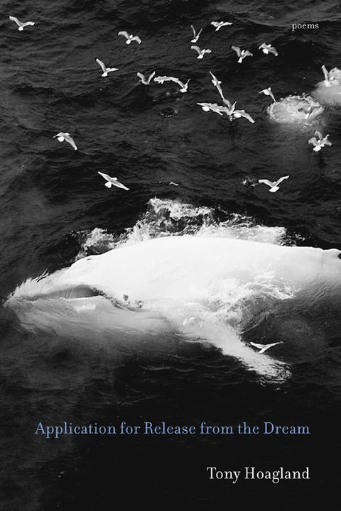 Cover image for book Application for Release from the Dream