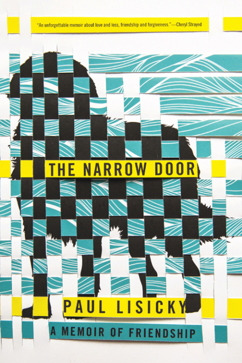 Cover image for book The Narrow Door
