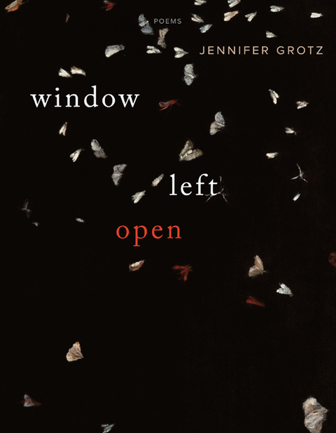 Cover image for book Window Left  Open