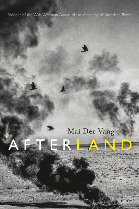 Cover image for book Afterland