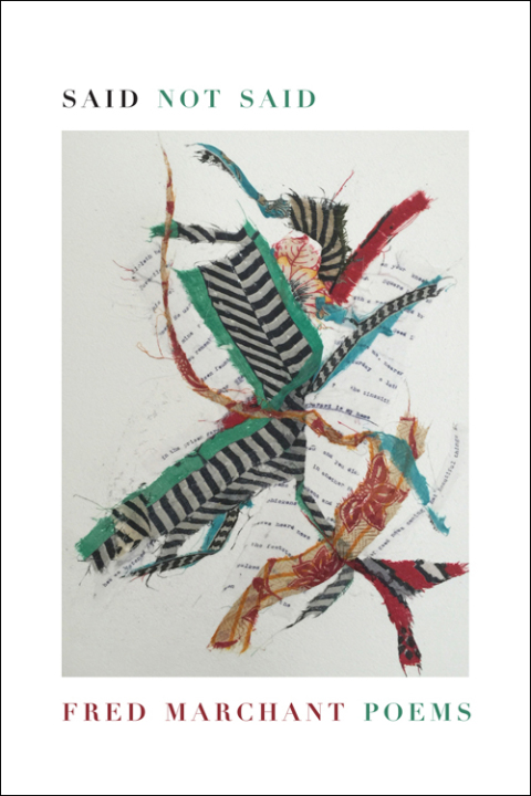 Cover image for book Said Not Said