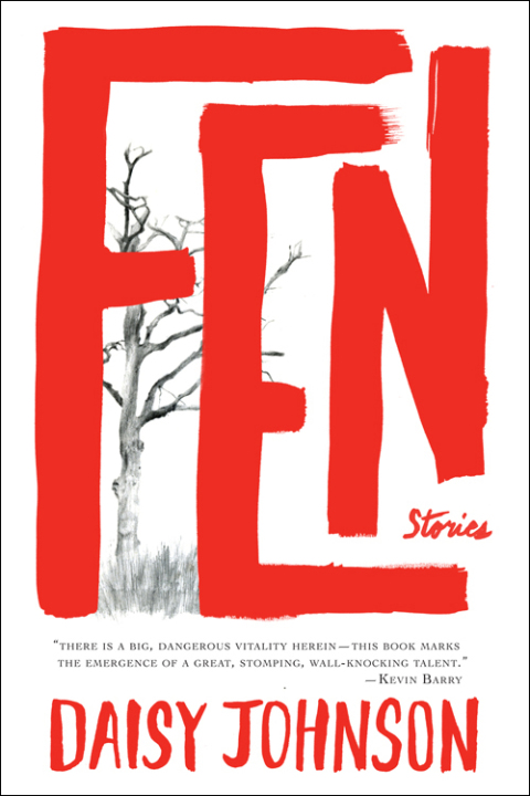 Cover image for book Fen