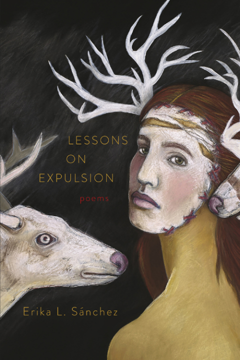 Cover image for book Lessons on Expulsion
