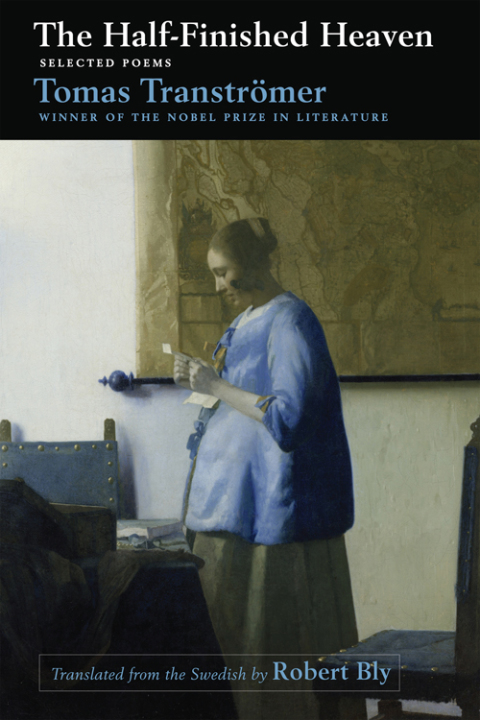 Cover image for book The Half-Finished Heaven