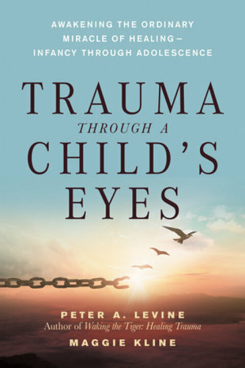 Cover image for book Trauma Through a Child's Eyes