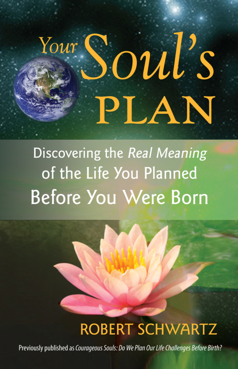 Cover image for book Your Soul's Plan