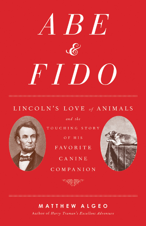 Cover image for book Abe &amp; Fido