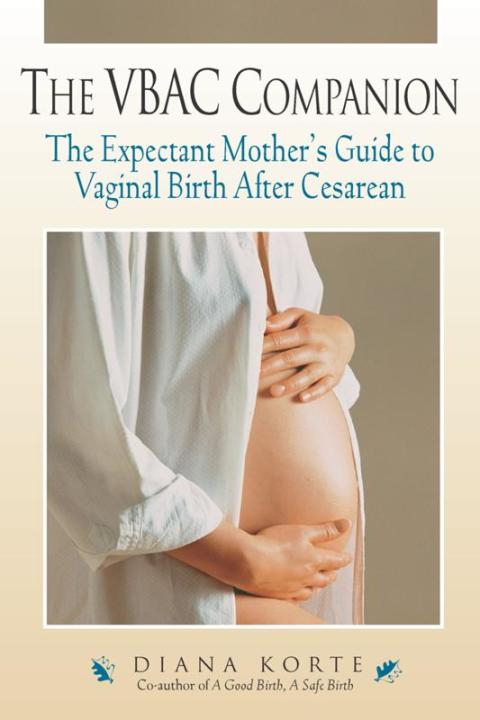 Cover image for book VBAC Companion