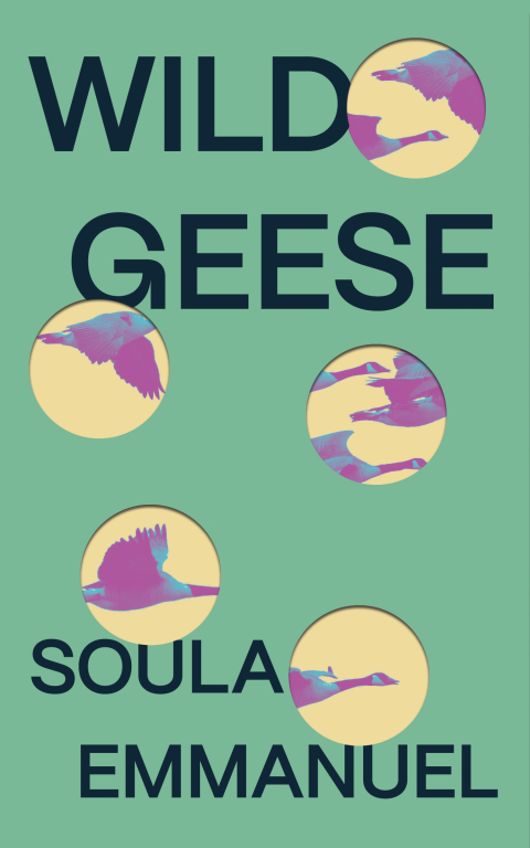 Cover image for book Wild Geese