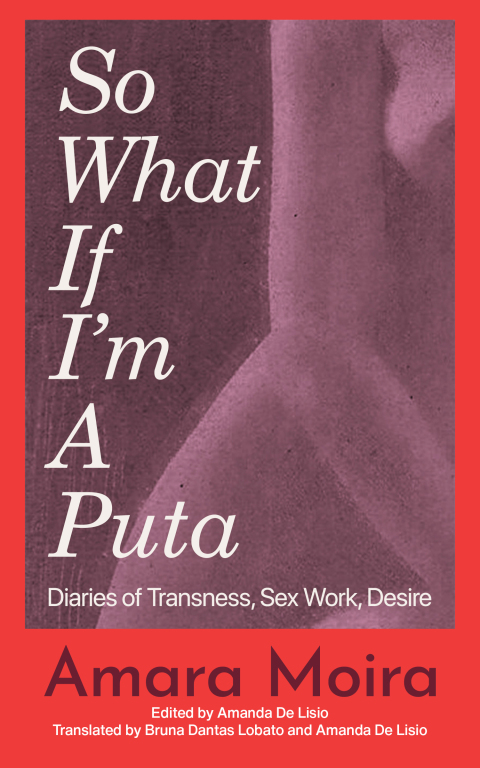 Cover image for book (So What) If I’m a Puta?
