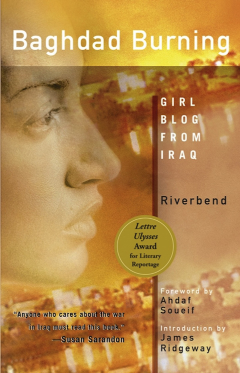 Cover image for book Baghdad Burning