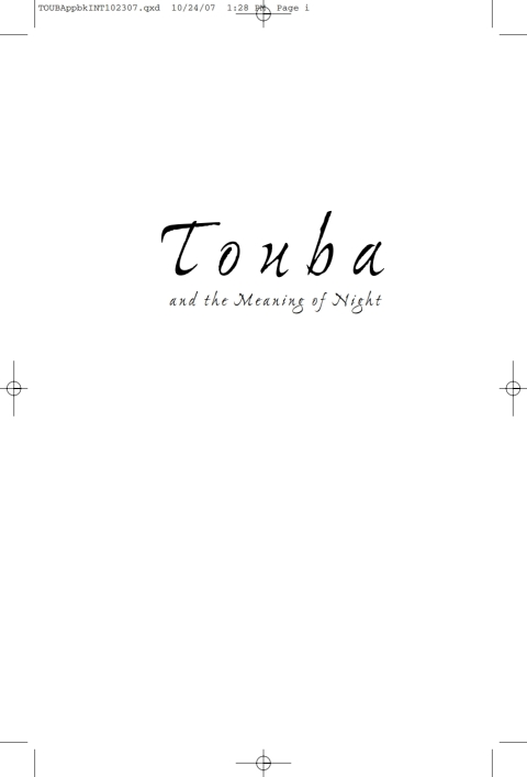 Cover image for book Touba and the Meaning of Night