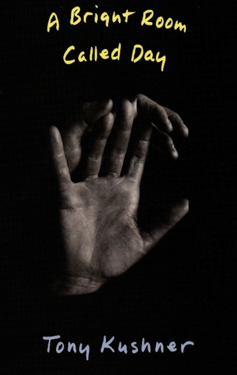Cover image for book A Bright Room Called Day