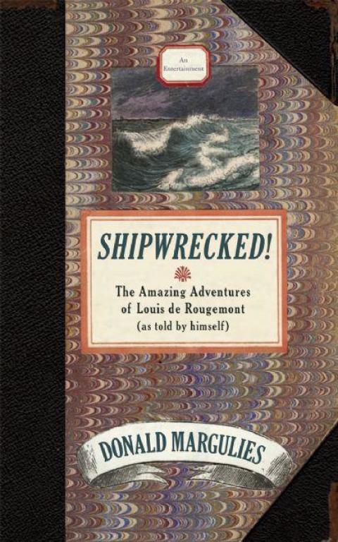 Cover image for book Shipwrecked!
