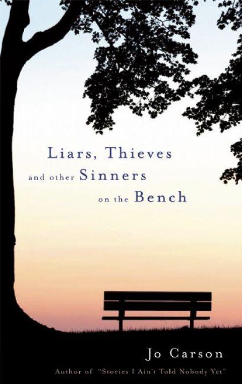 Cover image for book Liars, Thieves and Other Sinners on the Bench