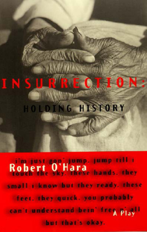 Cover image for book Insurrection: Holding History