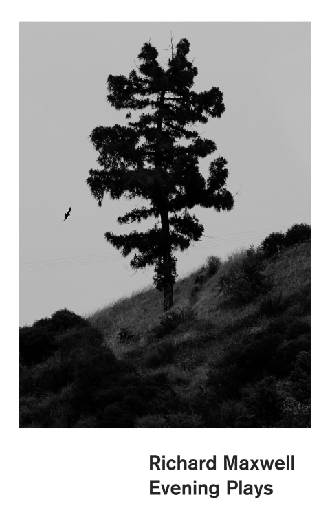 Cover image for book Evening Plays