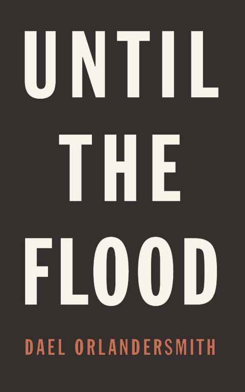 Cover image for book Until the Flood
