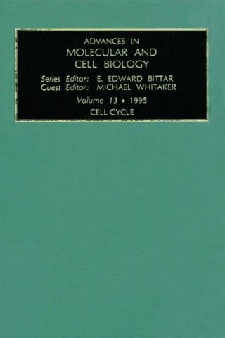 Cell Cycle