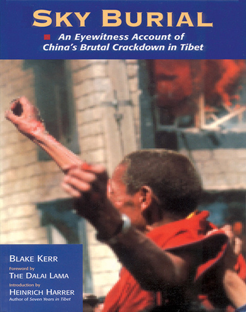 Cover image for book Sky Burial