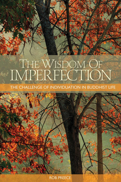 Cover image for book The Wisdom of Imperfection