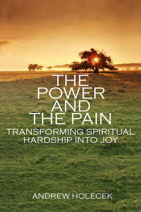 Cover image for book The Power and the Pain