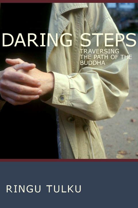 Cover image for book Daring Steps