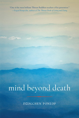 Mind Beyond Death