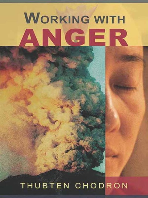 Cover image for book Working with Anger