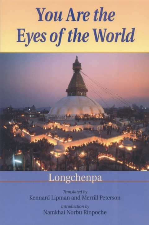 Cover image for book You Are the Eyes of the World