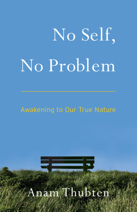 Cover image for book No Self, No Problem