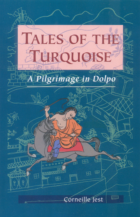 Cover image for book Tales of the Turquoise