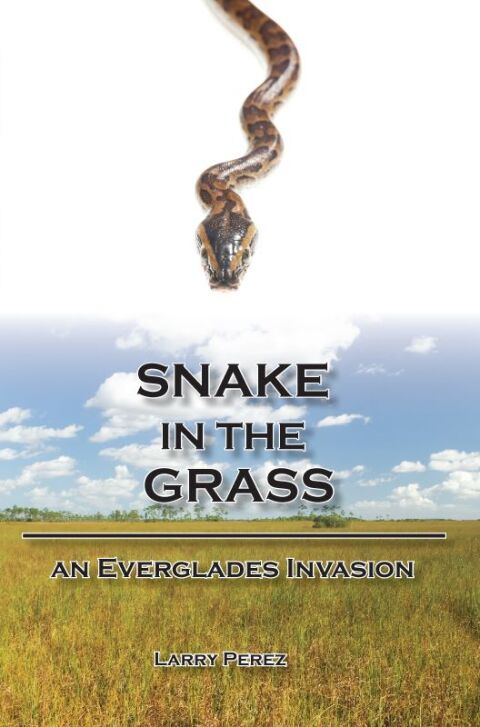 Cover image for book Snake in the Grass