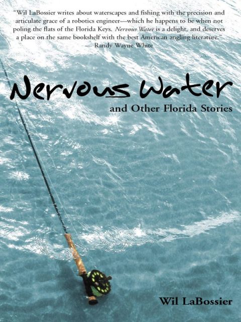 Cover image for book Nervous Water and Other Florida Stories