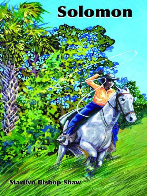 Cover image for book Solomon
