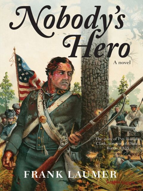 Cover image for book Nobody's Hero