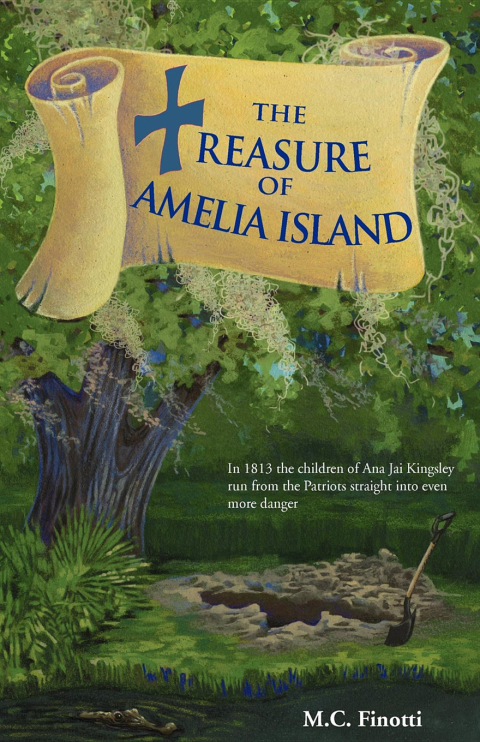 Cover image for book The Treasure of Amelia Island