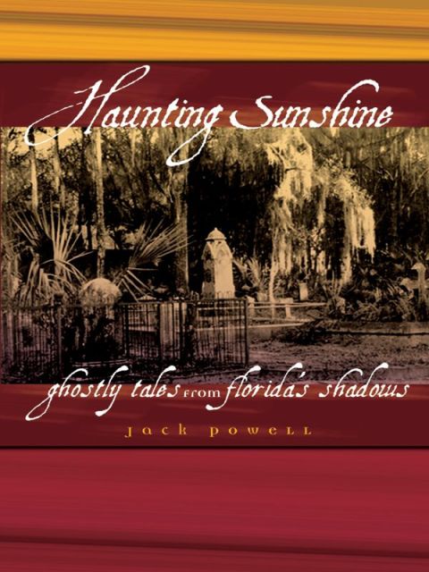 Cover image for book Haunting Sunshine