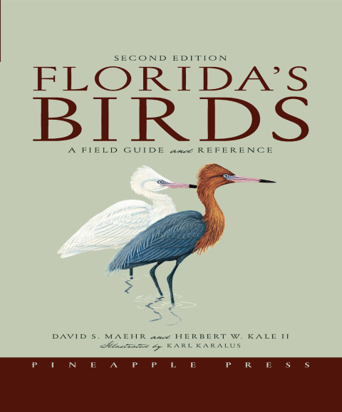 Florida's Birds 