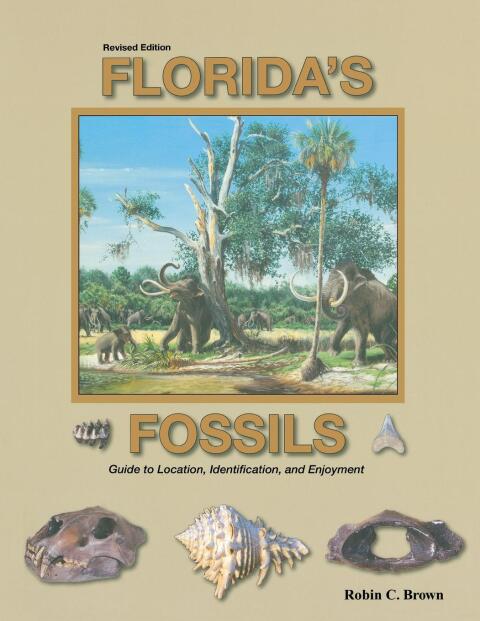 Cover image for book Florida's Fossils